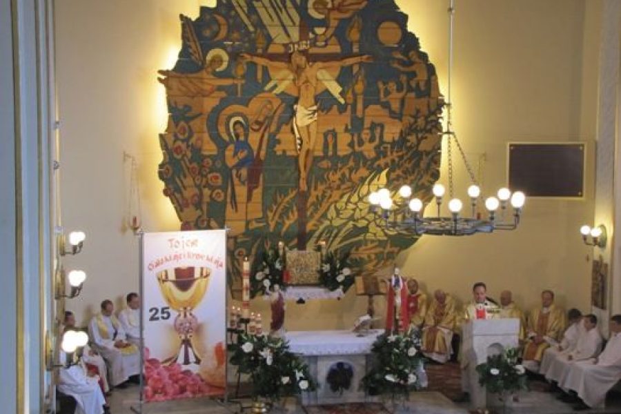 Jubileusz 25-lecia kapłaństwa ks. Stanisława Ciurki, Strzyganiec, Kościół Podwyższenia Krzyża Świętego na Strzygańcu